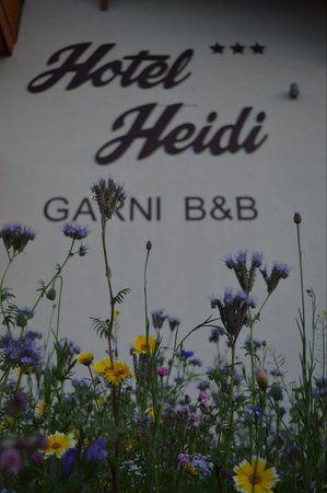 Foto di alcuni dettagli Heidi