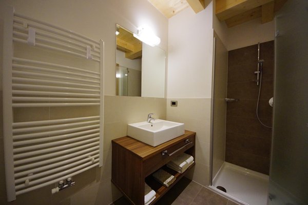 Photo of the bathroom Apartments Ciasa Costadedoi