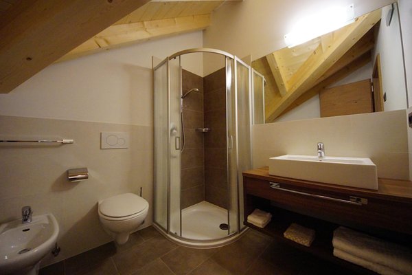 Photo of the bathroom Apartments Ciasa Costadedoi
