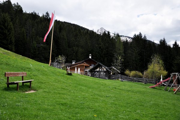 Bildergalerie Sommer