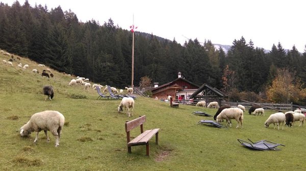 Bildergalerie Sommer