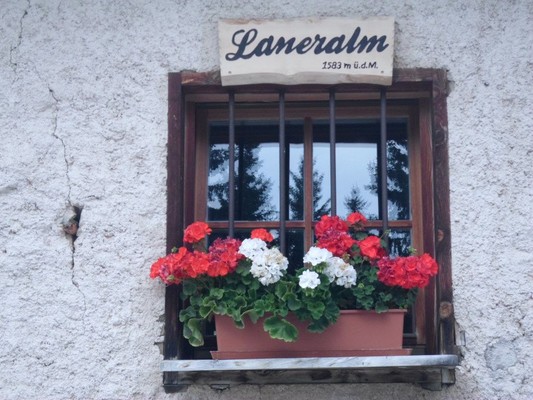 Foto einiger Details Laneralm