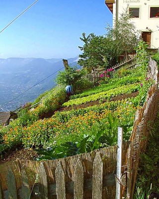 Foto vom Garten Dorf Tirol