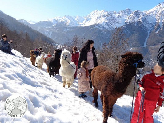 Foto esterno Fattoria didattica - Azienda Agricola La Foppa