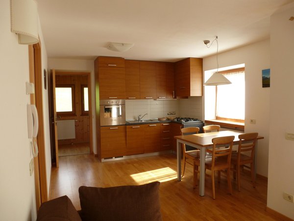 The living area Apartments Ciasa Nigritella
