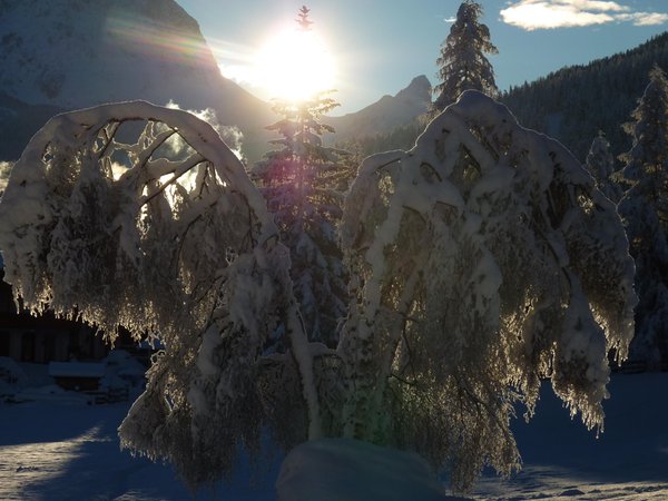 Photo gallery winter