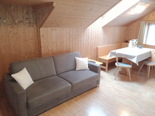 The living area Farmhouse apartments Col de Tlames