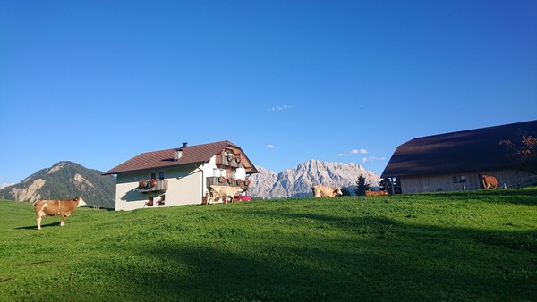 Photo exteriors Farmhouse apartments Col de Tlames