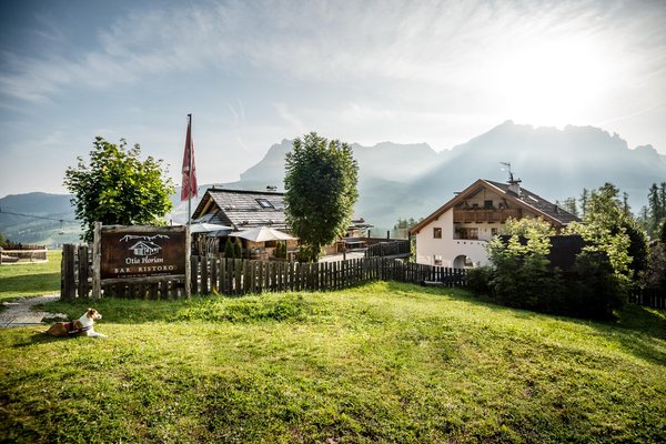 Foto Außenansicht im Sommer Plaön