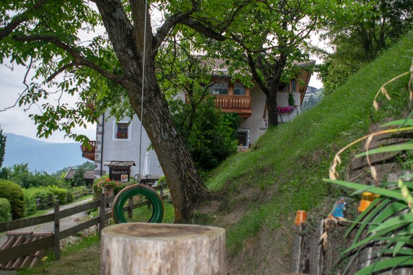 Photo of the garden Laion / Lajen (Ortisei / St. Ulrich)