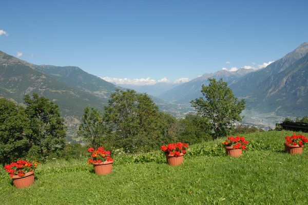 Foto del giardino Aosta