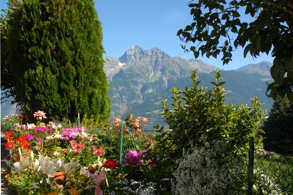 Foto del giardino Aosta