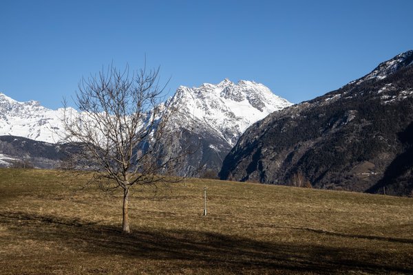 Vista dalla struttura