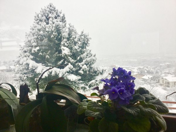 Vista dalla struttura