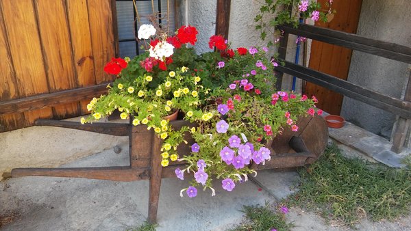 Photo of the garden Saint-Marcel (Aosta)