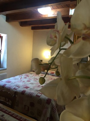 Photo of the room Bed & Breakfast La Vieille Meison de Pappa