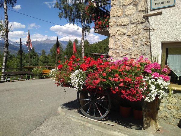 Foto del giardino Aymavilles (Gran Paradiso)