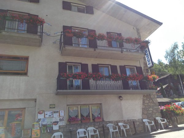 Foto esterno in estate La Pineta