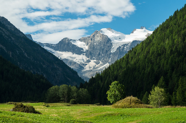 Photo gallery Cogne (Gran Paradiso)