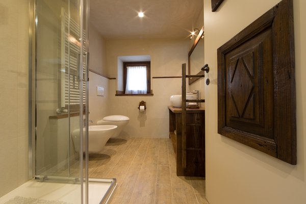 Photo of the bathroom Farmhouse apartments Maison Lo Triolet