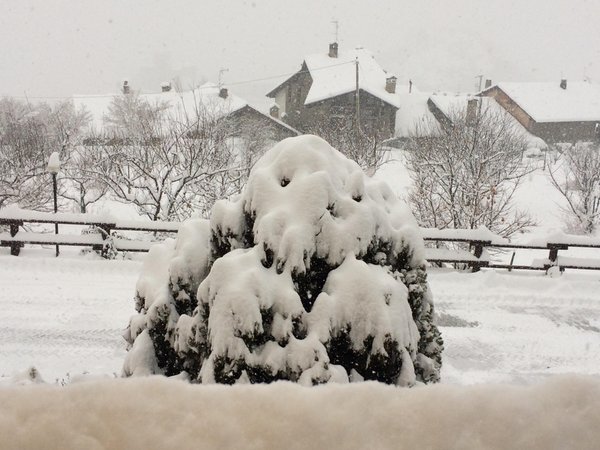 Foto del giardino Saint-Pierre (Gran Paradiso)