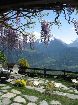 Photo of the garden Saint-Pierre (Gran Paradiso)