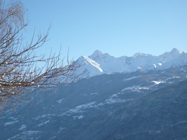 Bildergalerie Winter