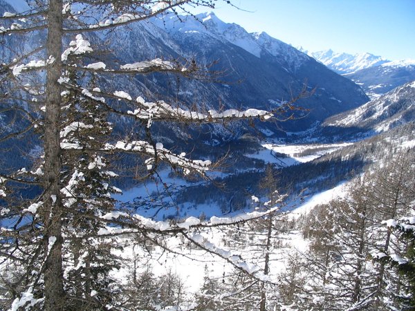 Bildergalerie Winter