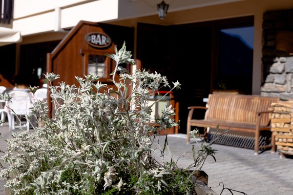 Foto esterno Hotel La Vallée Blanche