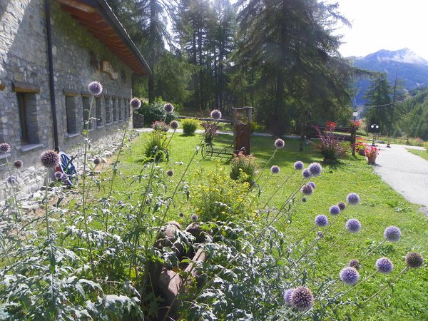 Foto del giardino La Thuile (Monte Bianco)