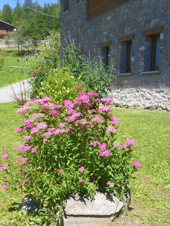 Photo of the garden La Thuile (Monte Bianco)