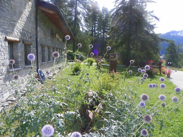 Photo of the garden La Thuile (Monte Bianco)