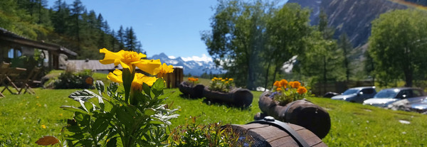Foto del giardino Courmayeur (Monte Bianco)