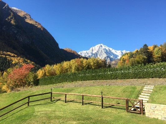 Foto del giardino Pré-Saint-Didier (Monte Bianco)