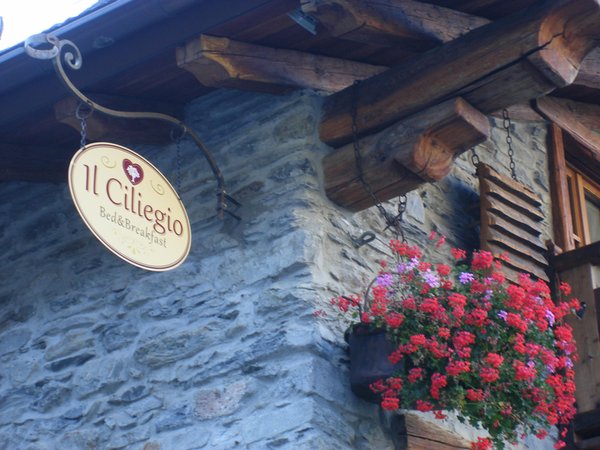 Foto esterno in estate Il ciliegio