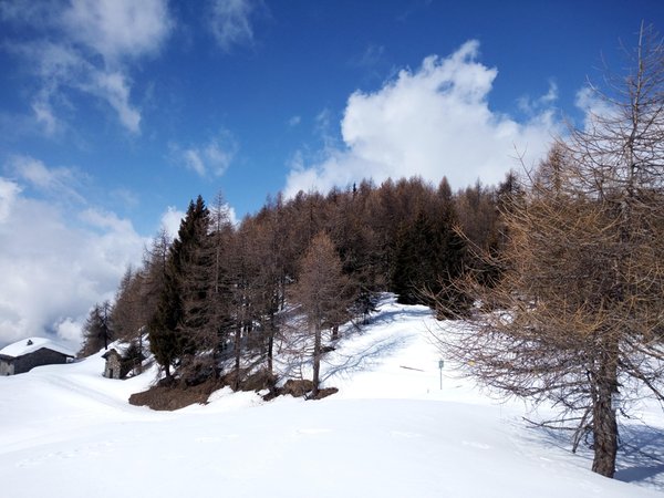 Gallery inverno