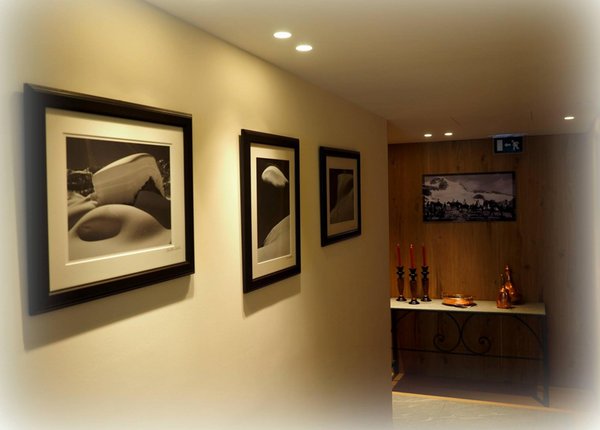 Le parti comuni Hotel Dufour