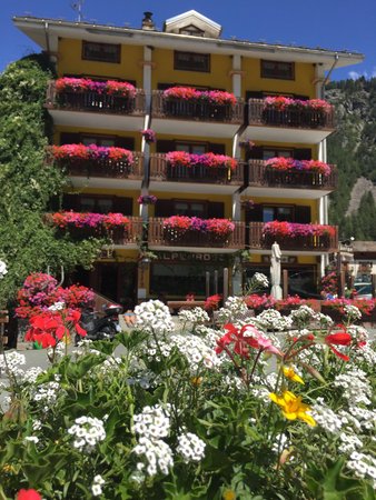 Foto Außenansicht im Sommer Alpenrose Ski&Bike Mountain Hotel