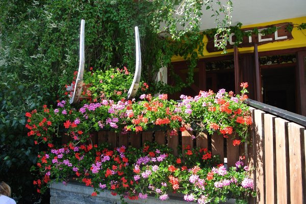 Foto del giardino Gressoney-Saint-Jean (Monte Rosa)