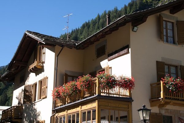 Photo exteriors in summer Villa Tedaldi