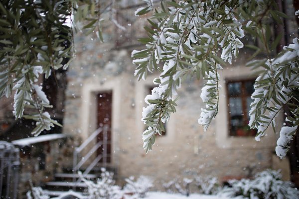 Foto esterno in inverno La Maison des Vignerons