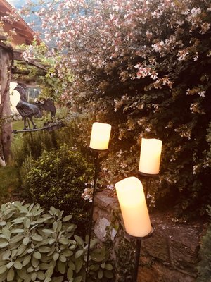 Foto del giardino Donnas (Valle Centrale)