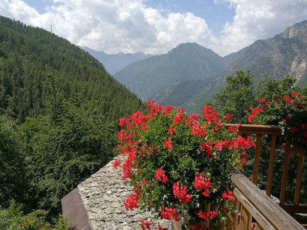 Vista dalla struttura