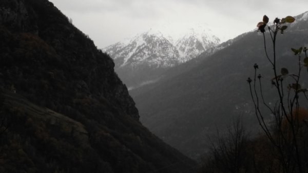 Gallery inverno