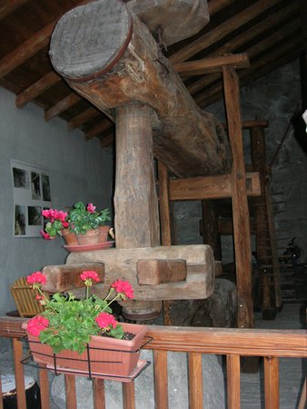 Bed & Breakfast Il Torchio Valle Centrale