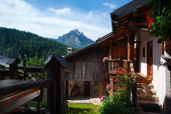 Foto Außenansicht im Sommer Dormì e Disnà