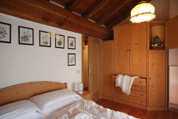 Photo of the room Rooms + Apartments Dormì e Disnà
