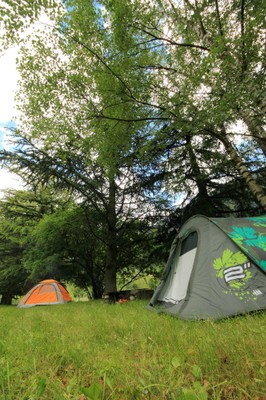 Foto esterno Campeggio Pradella