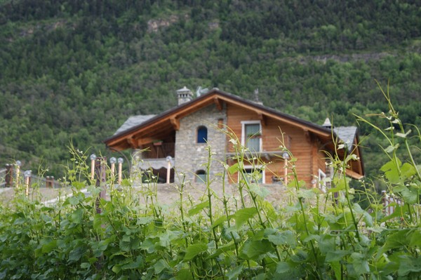 Foto esterno Azienda vinicola Closblanc