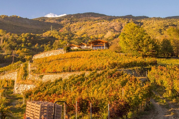 La posizione Azienda vinicola Les Granges Nus (Aosta)